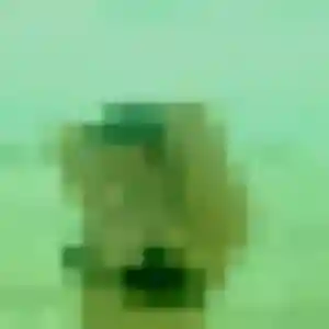 Photo exclusive de Akinyi, 28 ans à Maulde - rencontre coquine