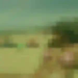 Contacte Ludivine, 39 ans à Mazangé en privé