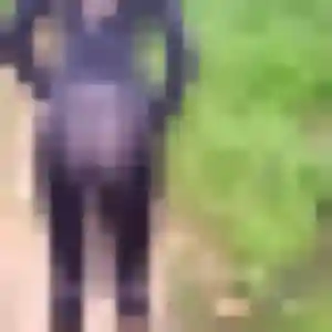 Belle Omolara, 32 ans à Mazères-sur-Salat - la contacter