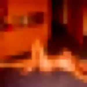 Nicole, 35 ans, disponible à Médis pour une rencontre coquine