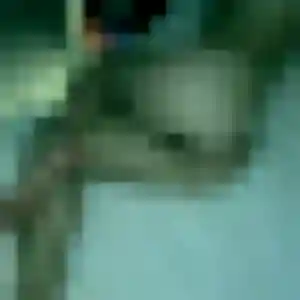 Lina, 33 ans, connectée à Mées pour une rencontre coquine