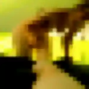 Photo de Naëlle à Merpins (40 ans) - plan cul gratuit