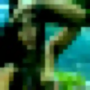 Photo exclusive de Félicité, 36 ans à Meyrargues - rencontre coquine