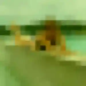 Aida, 27 ans, en ligne à Miannay pour une rencontre coquine