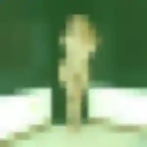 Profil de Adjoua à Milly-la-Forêt (40 ans) - plan cul discret