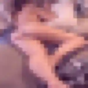 Sylvie, 35 ans, connectée à Miremont pour une rencontre coquine