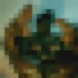 Photo privée de Adja, 33 ans à Mirmande - rencontre sans lendemain