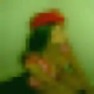 Precious, 25 ans, cherche un plan cul à Moliets-et-Maa