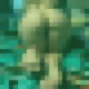 plan cul à Momères : profil de Coralie, 30 ans - accès libre