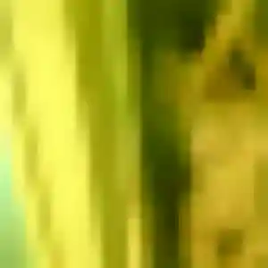 Kimberley, 33 ans, en ligne à Monistrol-sur-Loire pour un plan cul