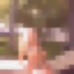 Amira, femme de 23 ans propose plan cul à Montauban