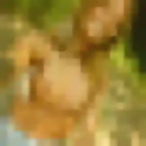 Océane, femme de 39 ans cherche plan cul à Montaudin
