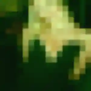 Profil de Sarah à Montauroux (32 ans) - plan cul anonyme