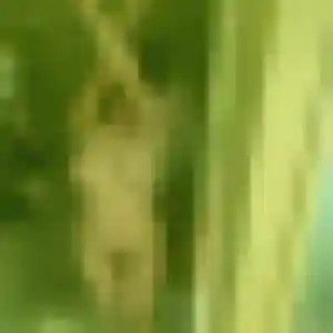 Bernadette, 35 ans, dispo pour plan cul à Montberon