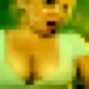 Photo de Ayélé à Montchanin (33 ans) - plan cul anonyme
