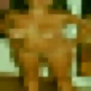 Découvre Maéva, 44 ans à Montchanin en privé