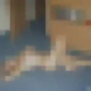 Profil de Ramata à Montchenu (38 ans) - plan cul gratuit
