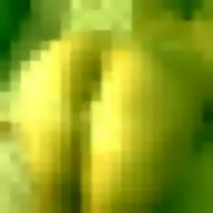 Charmante Yasmine, 44 ans à Montilly-sur-Noireau - la contacter