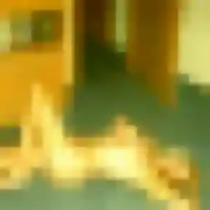 Photo sexy de Rosalie, 28 ans à Montils - rencontre coquine