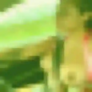 Sexy Penda, 34 ans à Montivilliers - voir sa photo