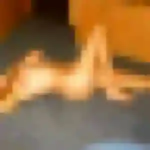 Profil de Latifa à Montlebon (43 ans) - plan cul anonyme