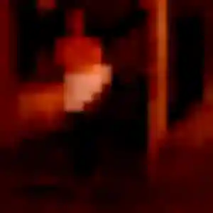 Profil de Shanelle à Montlignon (29 ans) - plan cul gratuit