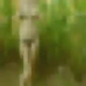 Stacy, 37 ans, connectée à Montpezat-sous-Bauzon pour une rencontre coquine