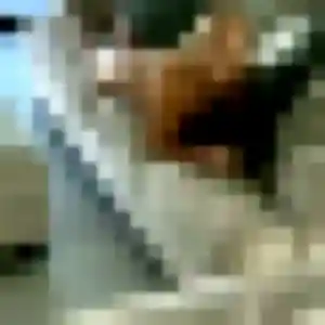 Pénélope, 26 ans, dispo pour plan cul à Montredon-des-Corbières