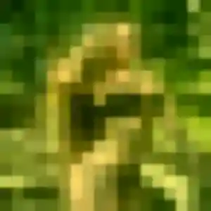 Photo exclusive de Yvette, 39 ans à Monts-sur-Guesnes - rencontre coquine