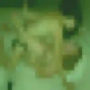 Georgette, 28 ans, dispo pour plan cul à Montsalvy