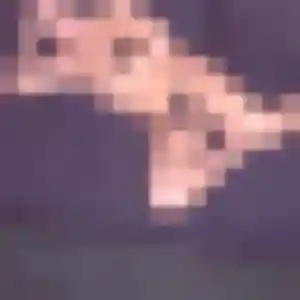 plan cul à Morannes sur Sarthe-Daumeray : photo de Ludivine, 29 ans - accès libre