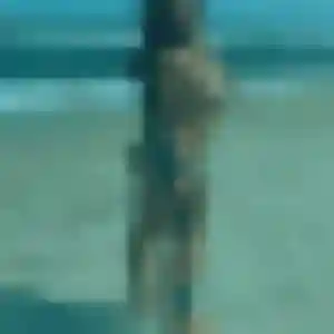 Sexy Suzanne, 35 ans à Mornant - la contacter
