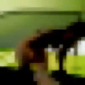 Amani, femme de 26 ans propose plan cul à Mortagne-sur-Sèvre