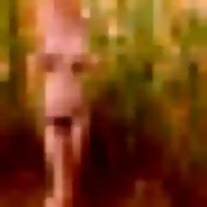 Photo de Arame à Moulins-sur-Yèvre (42 ans) - plan cul anonyme