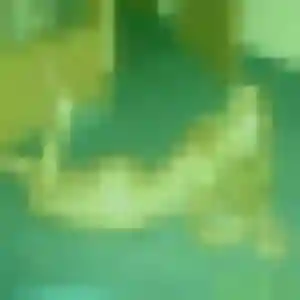 Photo sexy de Sarjo, 22 ans à Mouthiers-sur-Boëme - plan discret