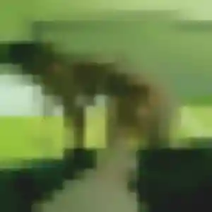 Daba (37 ans) à Muille-Villette cherche une rencontre aujourd'hui