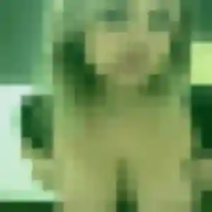 Photo de Arame à Mûrs-Erigné (24 ans) - plan cul discret