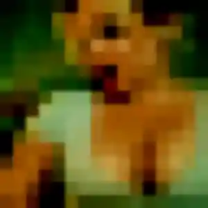 Photo sexy de Ayélé, 34 ans à Mus - rencontre sans lendemain