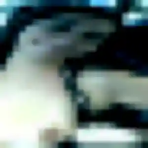 Éléonore, 37 ans, disponible à Nantiat pour une rencontre coquine
