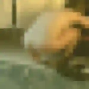 Belle Ablavi, 45 ans à Neuvy-sur-Loire - la contacter