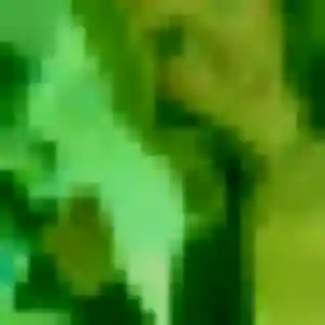 Célestine, femme de 43 ans propose plan cul à Niederbronn-les-Bains