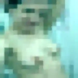 Belle Régine, 39 ans à Nordausques - voir sa photo