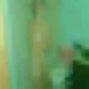 Profil de Béatrice à Nouzilly (37 ans) - plan cul anonyme