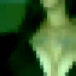 Photo sexy de Pénélope, 29 ans à Noyal-sur-Brutz - rencontre sans lendemain