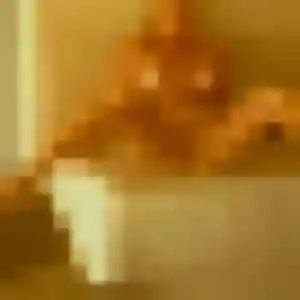 Photo privée de Adaeze, 33 ans à Oberhausbergen - rencontre coquine