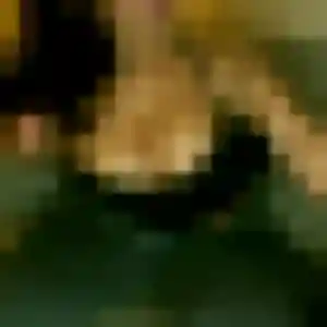 Rencontre Christelle, 34 ans à Olliergues en privé