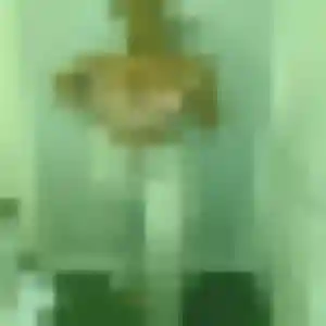 Sexy Zara, 31 ans à Ottrott - voir sa photo
