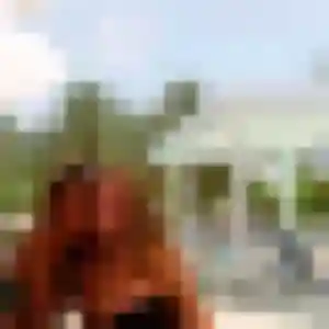 Arame, 40 ans, disponible à Ouangani pour une rencontre coquine