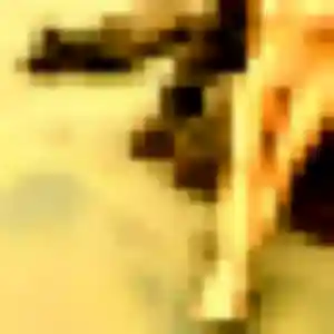 Astan, 40 ans, connectée à Ouches pour une rencontre coquine
