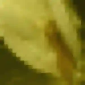Charmante Naïma, 33 ans à Pallud - la contacter
